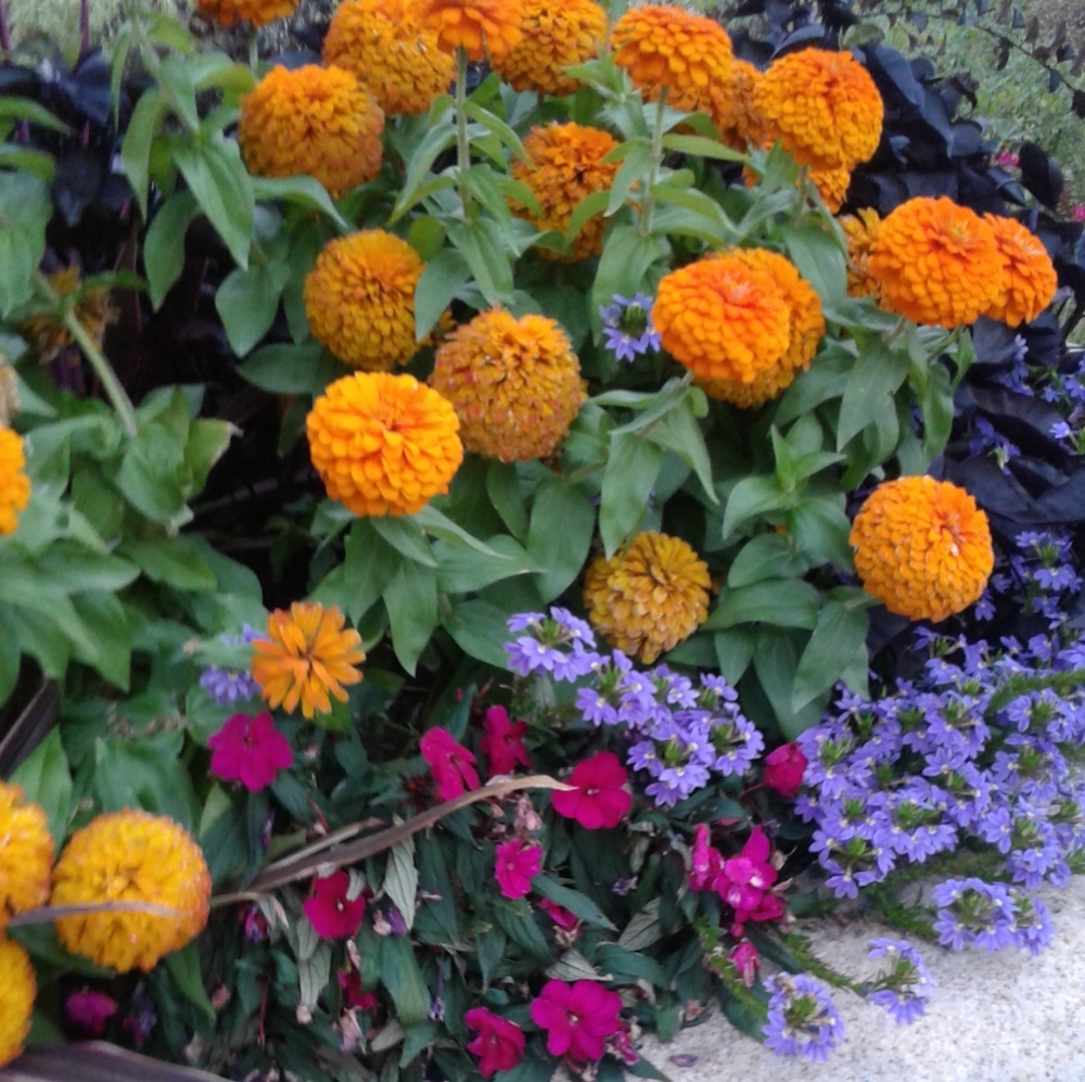 I'm sorry for my absence, I've moved a lot.